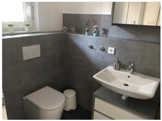 Ferienwohnung Bodensee Nenzingen Hegau Orsingen-Nenzingen エクステリア 写真